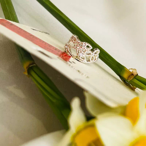 ایرکاف تاج نگینی بسیار شیکو زیبا بدون نیاز به سوراخ گوش